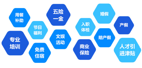 提供全面、系統(tǒng)、專業(yè)的培訓和廣闊的<br>職業(yè)發(fā)展空間和提升機會